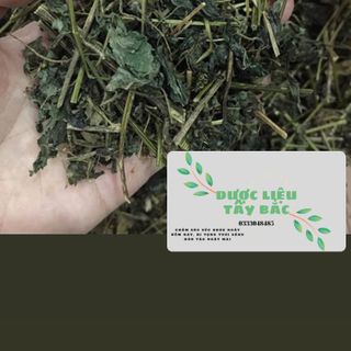 GIẢO CỔ LAM 5 LÁ SƠN LA HÀNG LOẠI 1 - DƯỢC LIỆU TÂY BẮC
