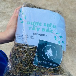 GIẢO CỔ LAM 5 LÁ SƠN LA HÀNG LOẠI 1 - DƯỢC LIỆU TÂY BẮC