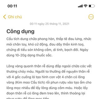 Cây Cẩu Tích (Cây Lông Culi) khô hàng loại 1 - Dược liệu Tây Bắc