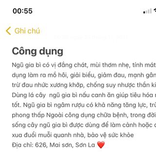 Ngũ Gia Bì khô hàng chuẩn loại 1 - Dược liệu Tây Bắc