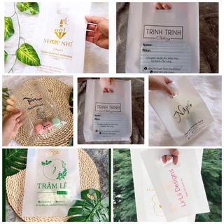 Túi hột xoài PE trong suốt, dành cho các thời trang, mỹ phẩm, có hỗ trợ in ấn logo, thông tin