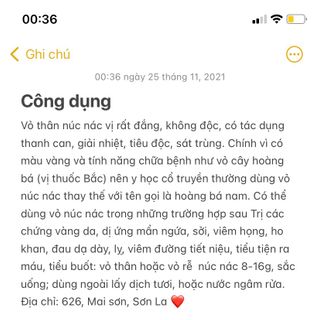 Vỏ Núc Nác (Hoàng Bá) khô hàng chuẩn loại 1 - Dược liệu Tây Bắc
