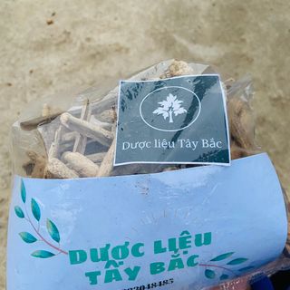 Vỏ Núc Nác (Hoàng Bá) khô hàng chuẩn loại 1 - Dược liệu Tây Bắc