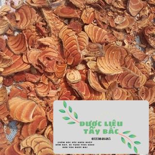 Cây tăng cân bổ máu (Huyết Đằng) khô chất lượng loại 1 - Dược liệu Tây Bắc