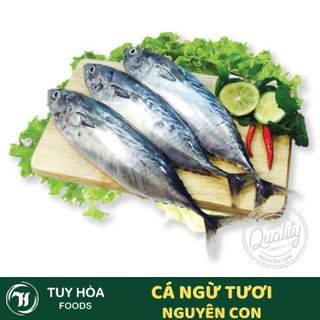 Cá Ngừ Chù Giá Sỉ (Size Từ 700g-1Kg/con) - Trực Tiếp Từ Biển Phú Yên Chưa Qua Chế Biến - Đóng Túi PE Hút Chân Không