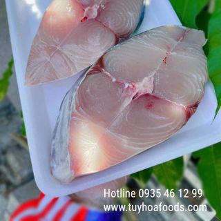 Cá Thu Cắt Khoanh Giá Sỉ 10Kg (Khay 500g) - Cá Biển Tươi Phú Yên