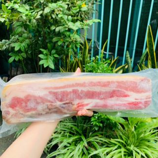 ba rọi heo rừng lai