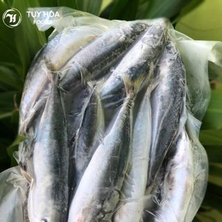 Cá Nục Tươi Giá Sỉ 10Kg - Nục Suôn Nguyên Con (Quy cách Khay 500g) - Ship HCM