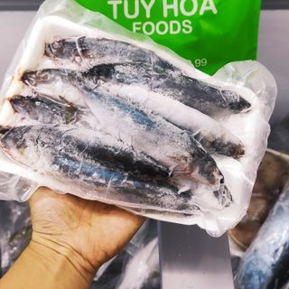 Cá Nục Tươi Giá Sỉ 10Kg - Nục Suôn Nguyên Con (Quy cách Khay 500g) - Ship HCM