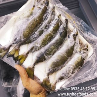 Cá Giò Tươi Giá Sỉ (Cá Dò) Nguyên Con Khay 500g - Cá Biển Tươi Phú Yên Chưa Qua Chế Biến
