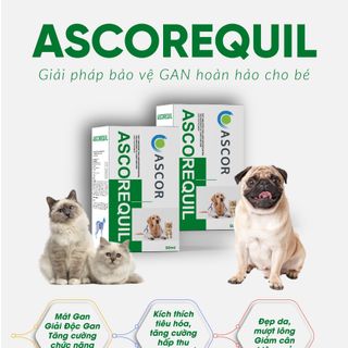 ASCOREQUIL 50ml - Giải độc gan cấp, điều trị các vẫn đề liên quan đến gan