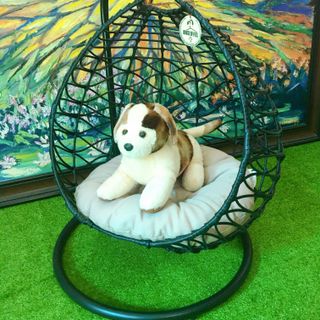Nhà cho mèo , ổ cho chó