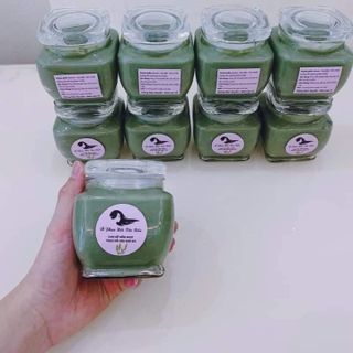 Phục Hồi Tảo Biển