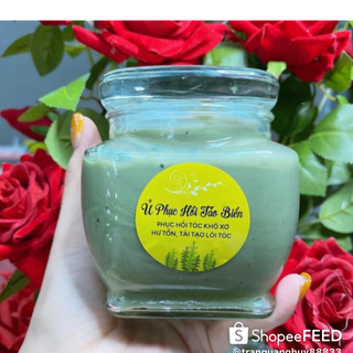 Phục Hồi Tảo Biển