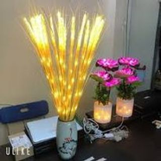 bông lúa led