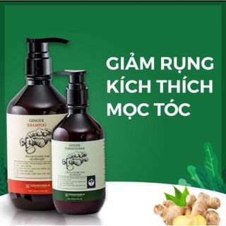 Dầu gội gừng dừa cỏ cây hoa lá