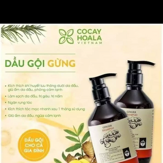Dầu gội gừng dừa cỏ cây hoa lá