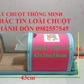 Bẫy chuột thông minh size trung giá sỉ