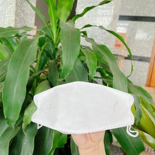 Khẩu trang y tế 4D KF94