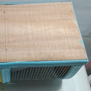 Bẫy chuột thông mình size nhỏ