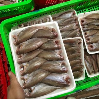 Sỉ Lẻ Khô Đù Một Nắng