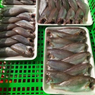 Sỉ Lẻ Khô Đù Một Nắng