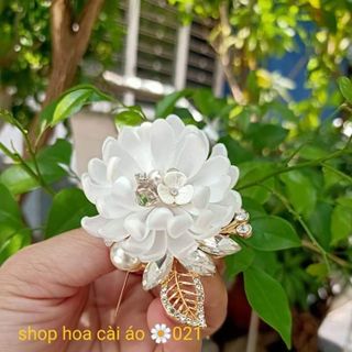 Hoa cài áo