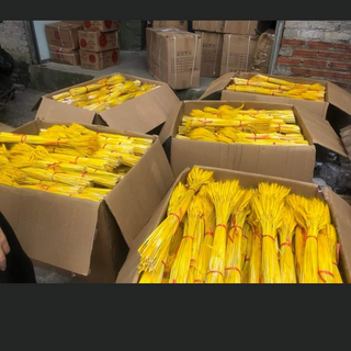 Bông lúa mạch sấy khô bán sỉ