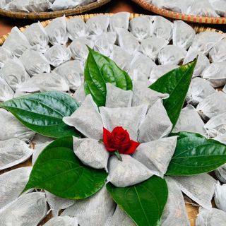 TÚI LỌC XÔNG RỬA VÙNG KÍN