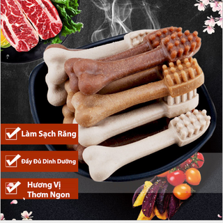 Xương gặm sạch răng cho chó mèo
