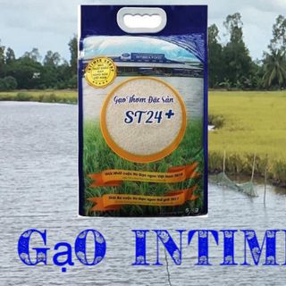 GẠO THƠM ĐẶC SẢN ST24+