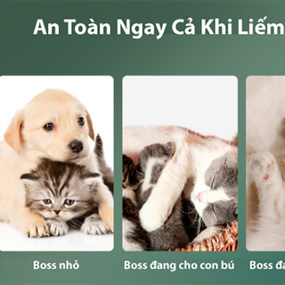 Sữa tắm khô dành cho chó mèo