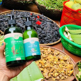 DẦU GỘI BỒ KẾT HÀ THỦ Ô