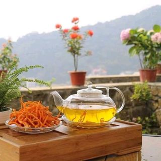 Trà túi lọc Đông Trùng Hạ Thảo NATURAL CORDYCEPS
