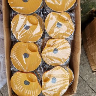 Set 4 đĩa sò