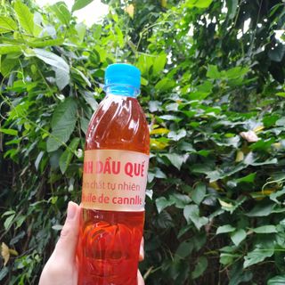 TINH DẦU QUẾ LAU NHÀ