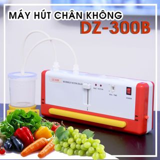 Máy hút chân không gia đình - DZ300B