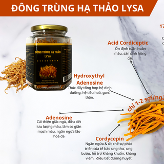 Đông Trùng Hạ Thảo Lysa sấy khô - 100% sợi Đông Trùng Hạ Thảo không tạp chất
