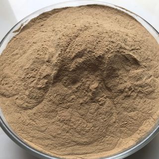 Vi sinh Bacillus Subtillis/ Bacillus Licheniformis