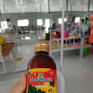 Cao ho lá thường xuân tỏi đen chanh đào