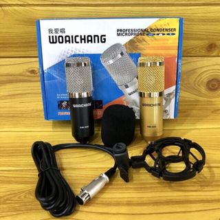 Mic thu âm Woaichang BM900