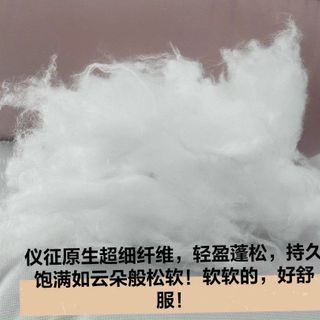 RUỘT GỐI GẤU BEAR HÀNG CAO CẤP