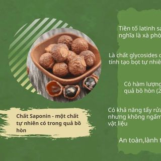 Nước rửa bát ENZYM BỒ HÒN can 5 lít