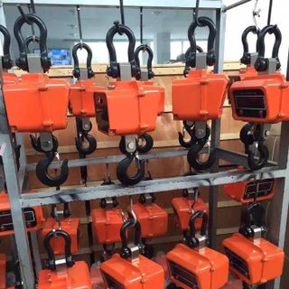 Cân Treo Điện Tử OCS - 3T