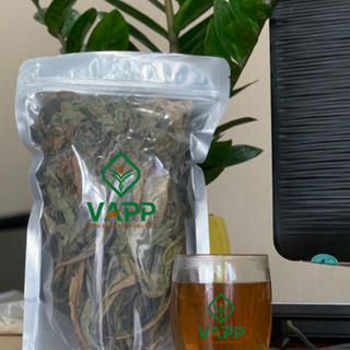 Lá Khô Khôi Nhung Tía