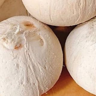 DỪA TRỌC NGỌT