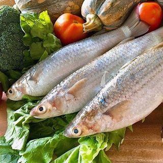Cá đối size 1-2kg