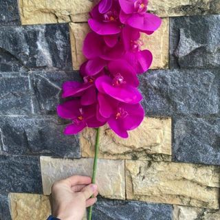 Hoa nhựa hoa giả hoa tươi các loại giá tốt