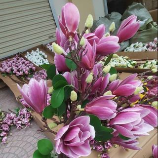 Hoa nhựa hoa giả hoa tươi các loại giá tốt