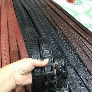 Thắt lưng Da Cá Sấu- liền